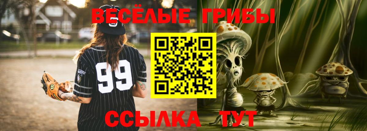 Галлюциногенные грибы ЛСД Дальнереченск